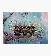 three little night owls Photographic Print