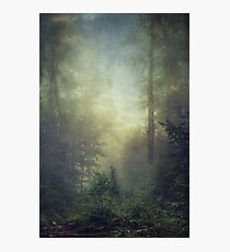 secret domain Photographic Print