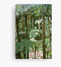 Film Canvas Print
