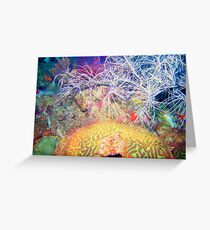 Unknown beauty Of Caribbeans Greeting Card