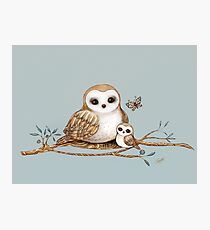 Lámina fotográfica Baby Barn Owl