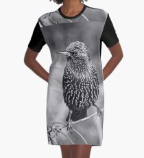 le Best des Etourneaux Black & White 1.01.2015 (n&b)(h) 04 by Olao-Olavia / Okaio Créations Graphic T-Shirt Dress