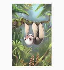 Sloth with Baby Photographic Print
