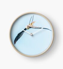 The Stoop of the Falcon Clock
