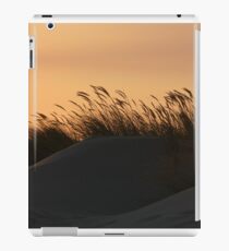 Dune 4232 iPad Case/Skin