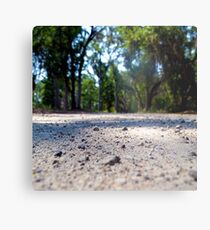 Down the Road Metal Print