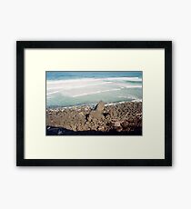 Film Framed Print