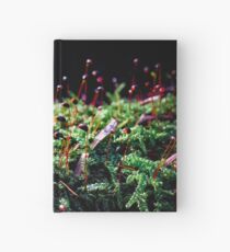 Pazifischer Nordwesten: Sparkle Spores Notizbuch