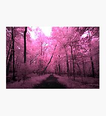Infrared Trail - 1 Photographic Print