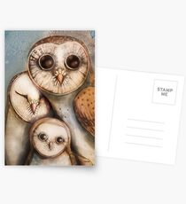 three wise owls Postcards
