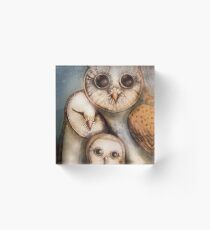 three wise owls Acrylic Block