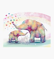 elephant affection Photographic Print