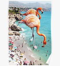 Flamingos on the Beach #redbubble #decor Poster
