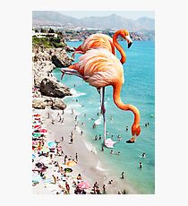 Flamingos on the Beach #redbubble #decor Photographic Print
