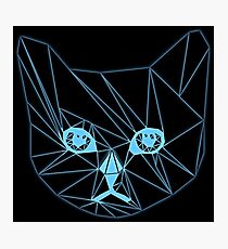 High speed gatto Photographic Print