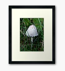 Ink Cap Mushroom Framed Print