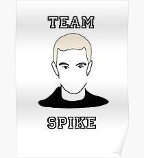 Team Spike Poster
