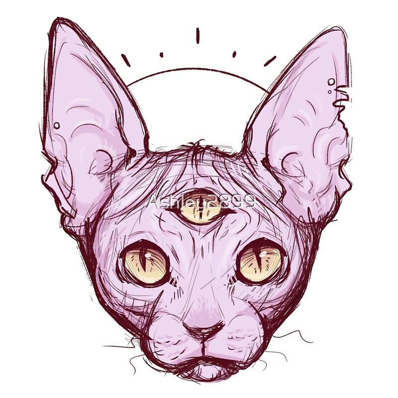 "Three eyed sphynx cat sketch" by Ashley2899 | Redbubble