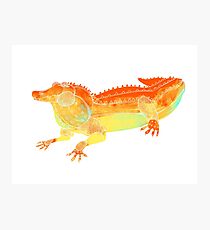 Space Gator Photographic Print