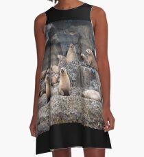 Seal Family A-Line Dress