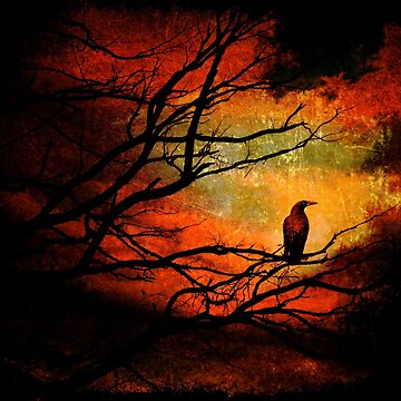 Artwork thumbnail, Basho's Crow by ronmoss
