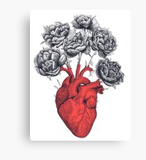 Heart with peonies Canvas Print