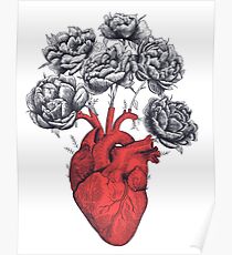Heart with peonies Poster
