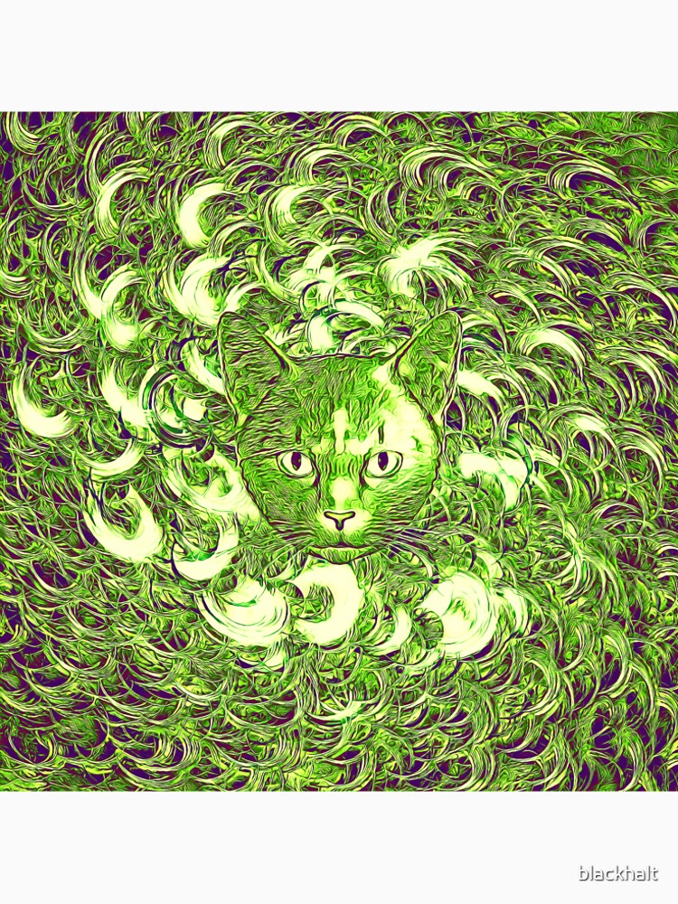 Hiding in fractal feathers by blackhalt