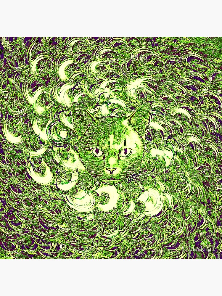 Hiding in fractal feathers by blackhalt