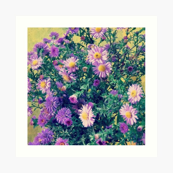 Dendranthema Art Print