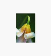 macro spring flower Art Board