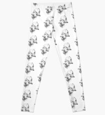 Zayn Leggings