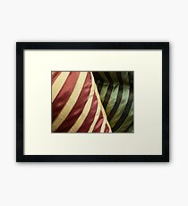 Plush Framed Print