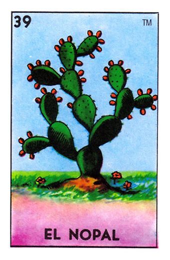 Image result for loteria el nopal