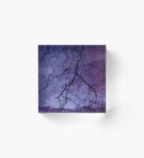 Bare Branches At Dusk Acrylic Block