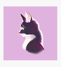 Sly cat in profile Photographic Print
