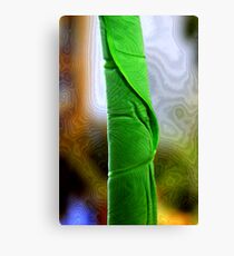 Stalk Canvas Print