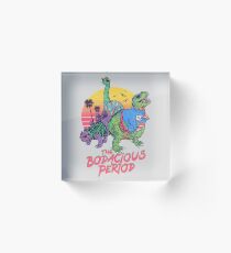 The Bodacious Period Acrylic Block