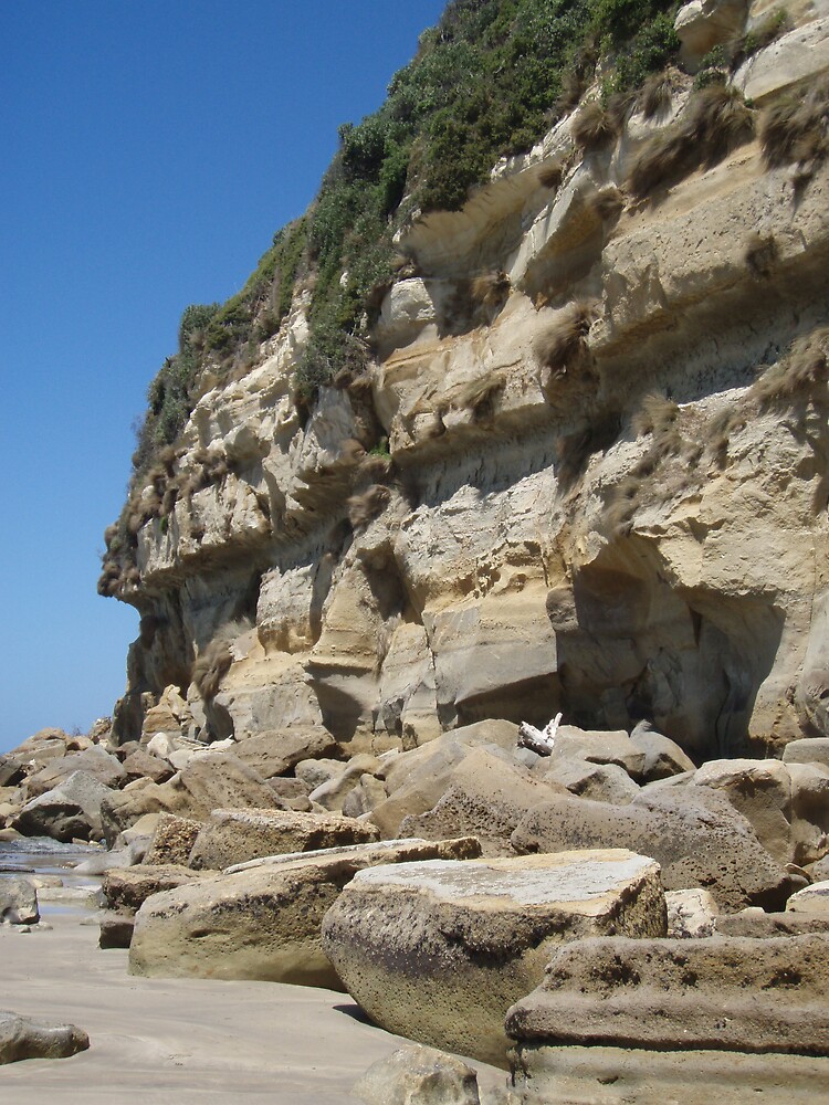 "Fossil Bluff, at Wynyard, Tasmania " by Gaylene Norton Redbubble