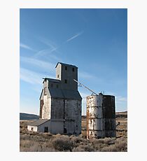 Silent Sentinel I Photographic Print