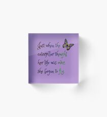 Butterfly Acrylic Block