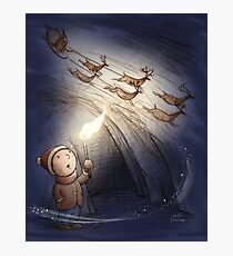 Reindeer Discovery Photographic Print