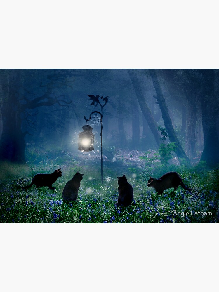 The Witches Cats by AngelaBarnett