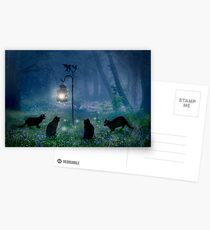 The Witches Cats Postcards