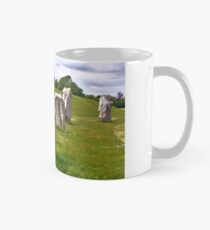 Avebury Circle D Mug