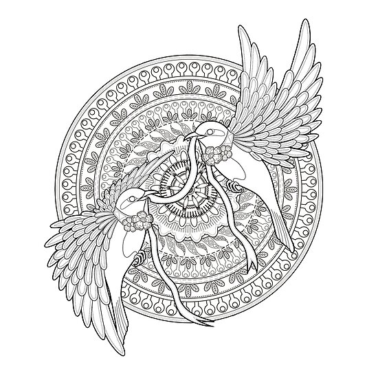 bird mandala posters by