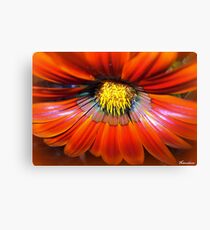 Spicy! Canvas Print