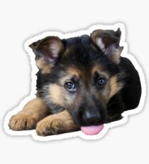 German Shepherd Puppy Sticker Sticker