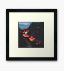 17/A/34 Framed Print