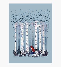 The Birches (in Blue) Photographic Print